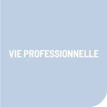 Vie Professionnelle